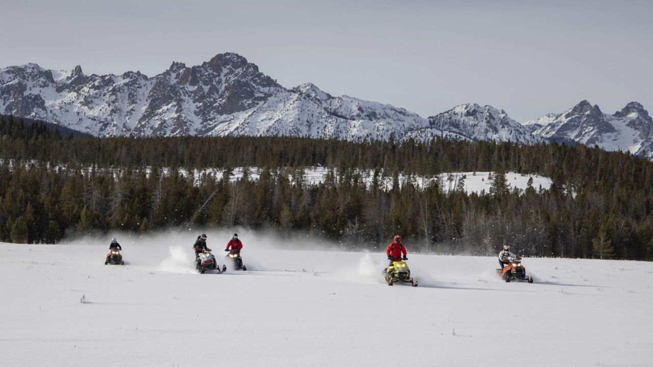 groupe de pilotes de Ski-Doo dans les bois